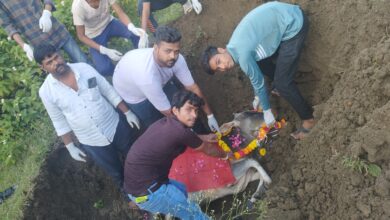 Photo of हिंदू रीति रिवाज के अनुसार गौपुत्रों ने गौमाता को दी अंतिम विदाई