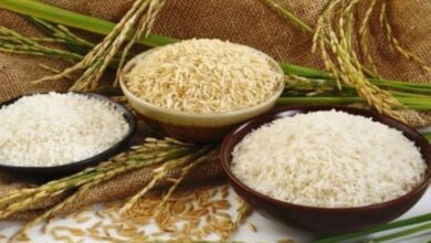 Photo of केंद्र सरकार ने हाल ही में खुली बाजार बिक्री योजना (डी) के माध्यम से 1.66 लाख मीट्रिक टन गेहूं और 0.17 लाख मीट्रिक टन चावल की बिक्री की