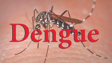 Photo of डेंगू की रोकथाम हेतु सघन अभियान – डेंगू के 05 नये प्रकरण मिले