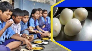 Photo of रायपुर : मध्यान्ह भोजन में अतिरिक्त पोषण आहार के रूप में सात जिलों के स्कूली बच्चों को मिलेगा अण्डा