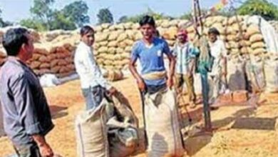 Photo of प्रदेश में अब तक 35.58 लाख मीट्रिक टन धान खरीदी, 7.87 लाख किसानों ने बेचा धान