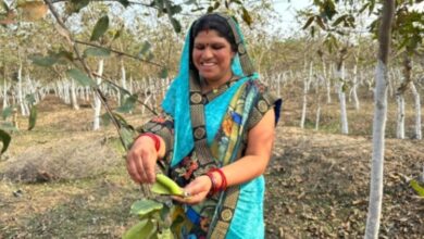 Photo of रेशमी धागों ने महिलाओं के जीवन में लाई खुशियां : कृमिपालन और कोसा उत्पादन से समूह की महिलाएं बनी स्वावलंबी