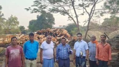 Photo of अवैध लकड़ी के भंडारण को ज़ब्त कर वन विभाग के सुपुर्दगी किया गया