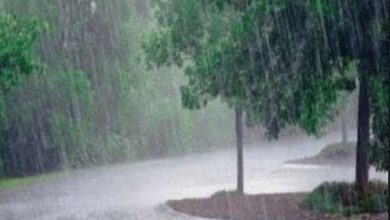 Photo of छत्तीसगढ़ में अब तक 460.7 मि.मी. औसत वर्षा दर्ज