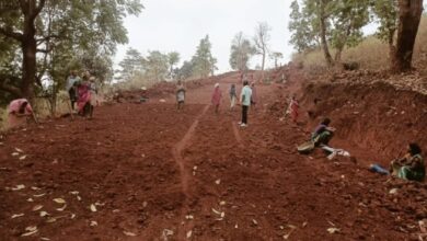 Photo of CG jtk : महात्मा गांधी राष्ट्रीय ग्रामीण रोजगार गारंटी योजना के तहत मिली ग्रामीणों को सौगात…घाट कटिंग कर सड़क निर्माण कार्य से वनांचल के ग्रामीण हो रहे लाभान्वित