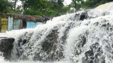 Photo of धमतरी : जिले का नरहरा जल प्रपात बना आकर्षण का केन्द्र